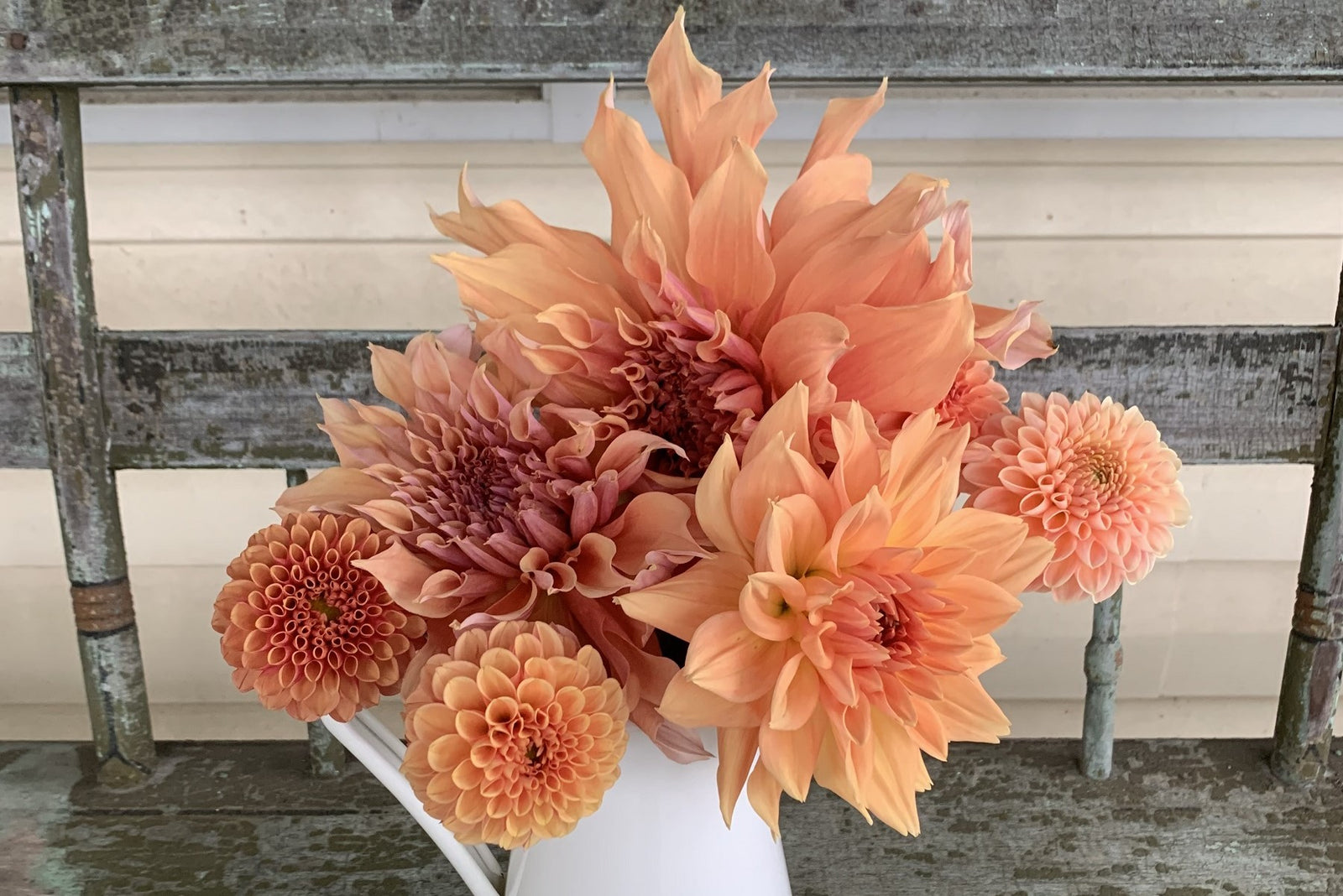 locally grown fresh cut flowers in southern Maryland