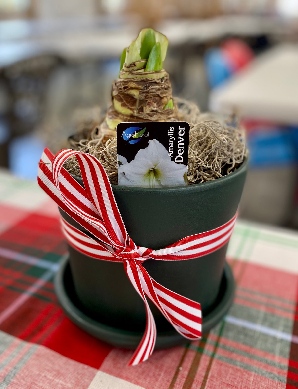 Holiday Bulb Workshop