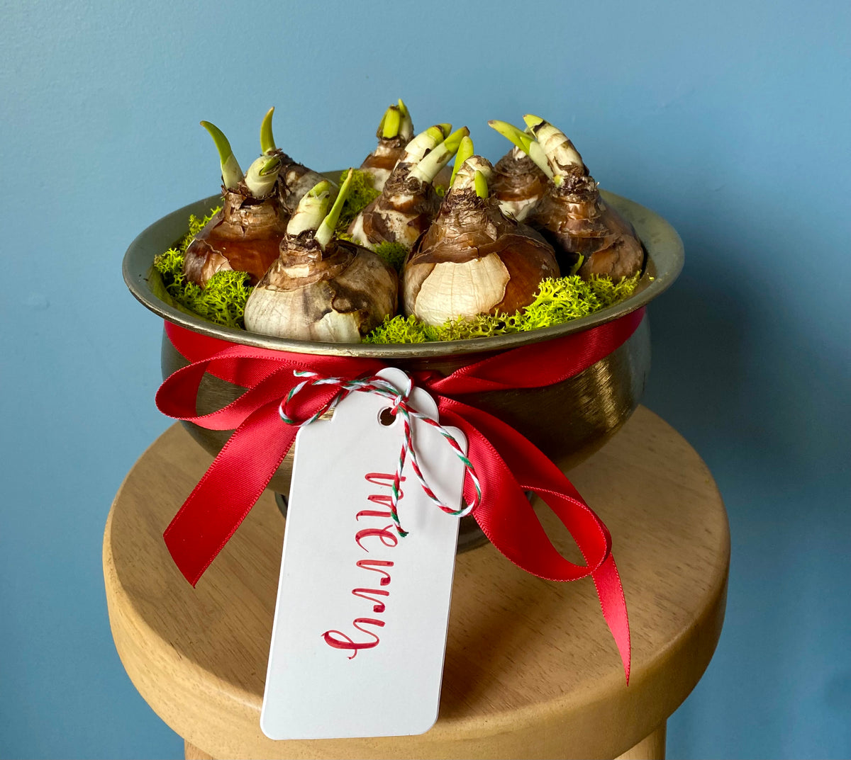 Holiday Bulb Workshop