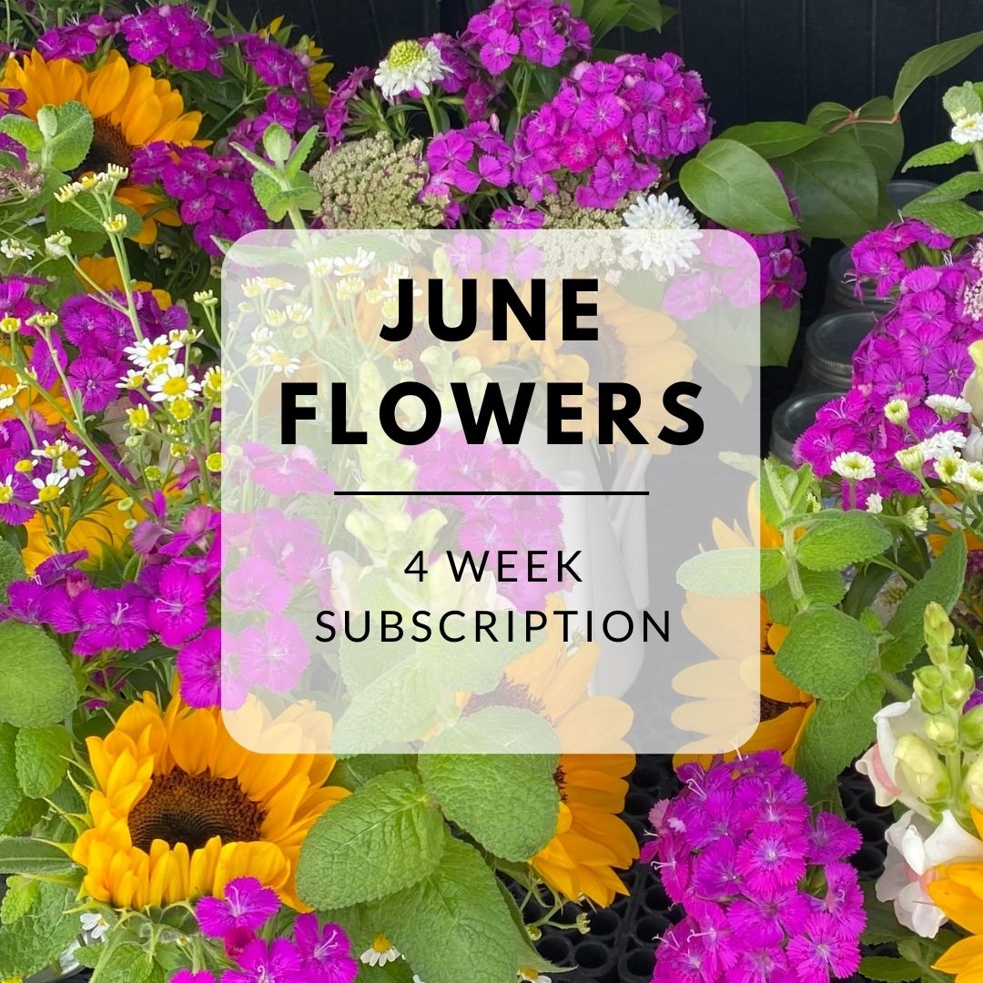 2024 June Flower Subscription