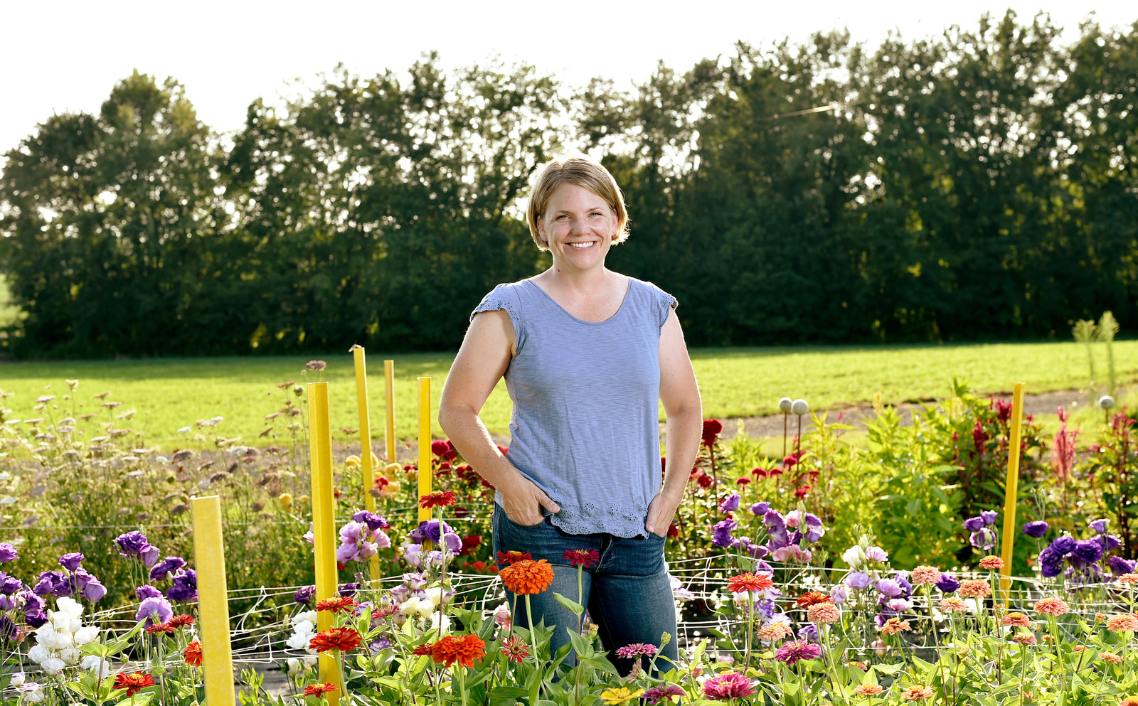 locally grown fresh cut flowers in southern Maryland